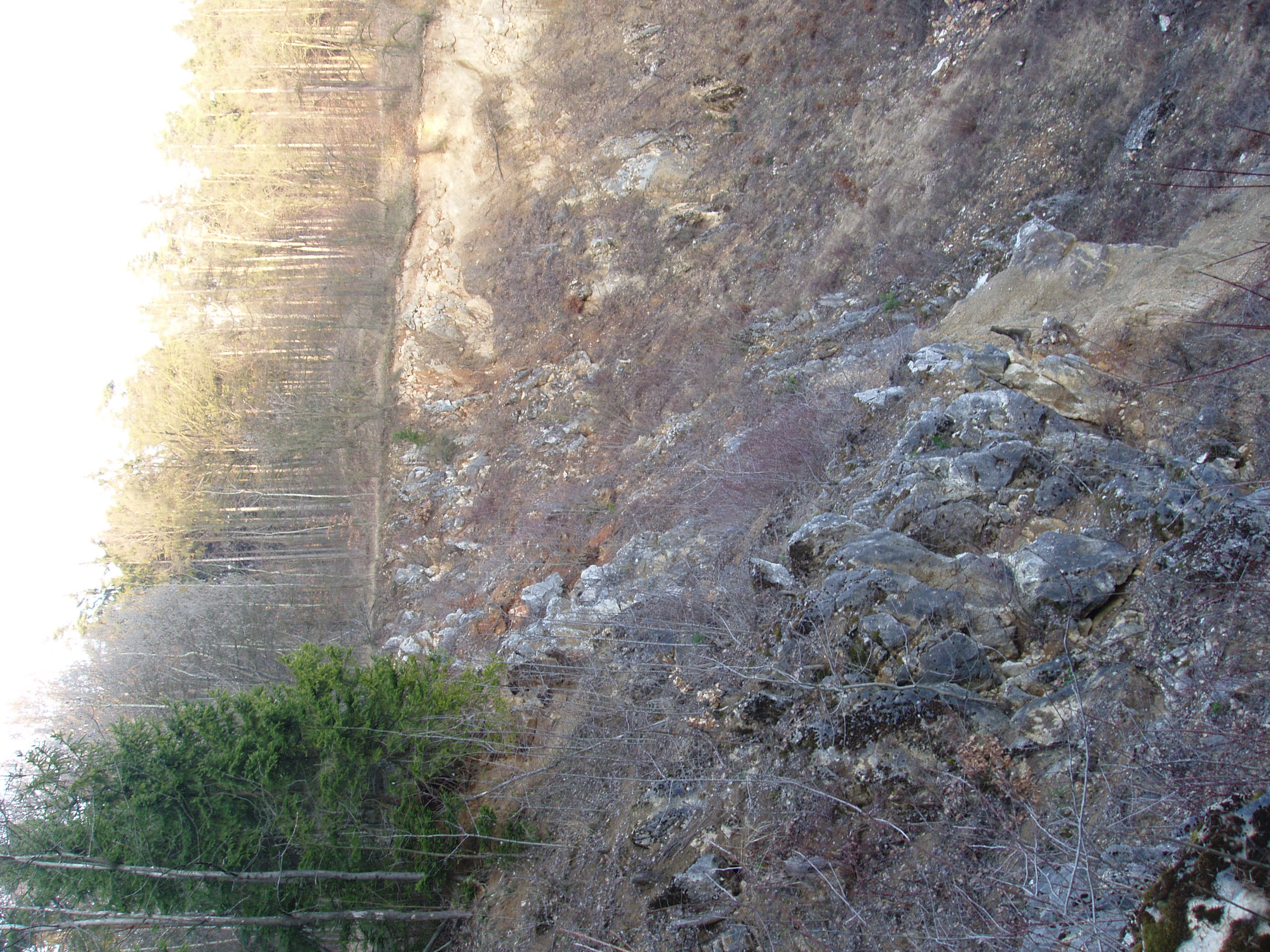 P3113461.JPG